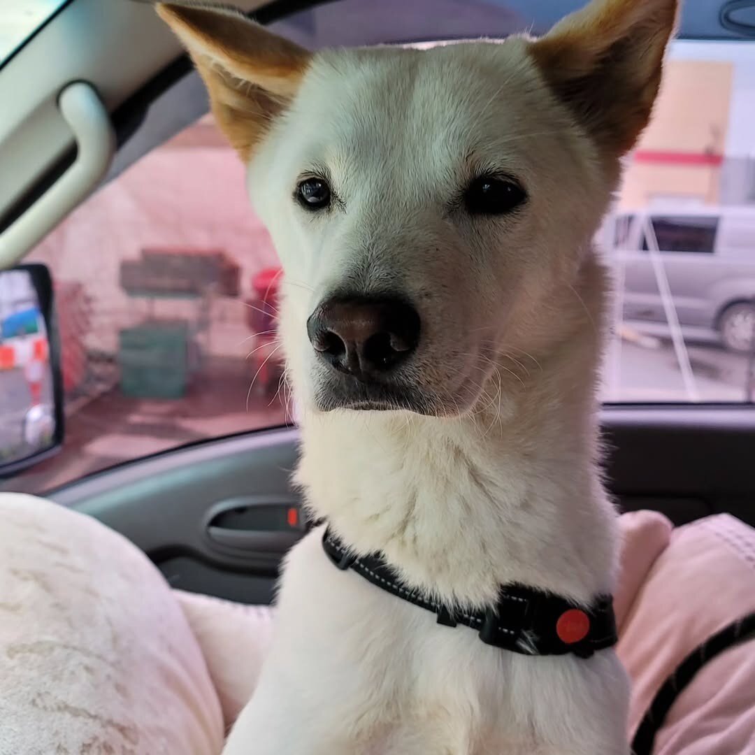 본문 이미지 - 가족을 제일 사랑하는 봄이&#40;인스타그램 baegkyuhyeon&#41; ⓒ 뉴스1