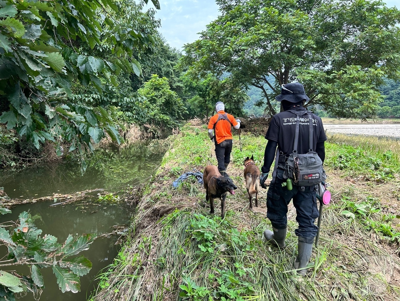 (가평=뉴스1) 양희문 기자 = 2일 경기 가평군에서 소방 당국이 수해 실종자 수색 작업을 하고 있다.(경기도북부소방재난본부 제공, 재판매 및 DB 금지) 2025.8.2/뉴스1