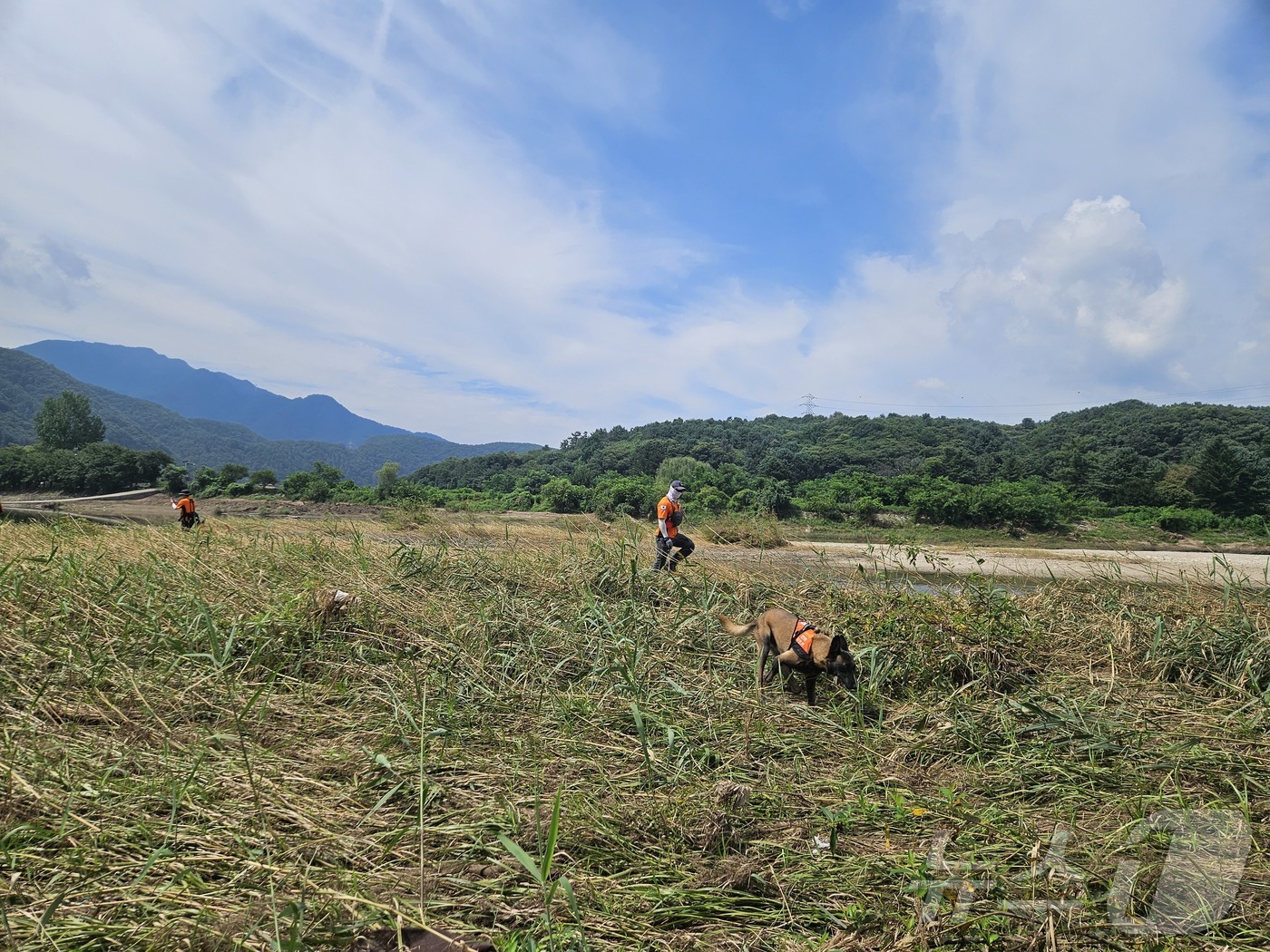 (가평=뉴스1) 양희문 기자 = 2일 경기 가평군에서 소방 당국이 수해 실종자 수색 작업을 하고 있다.(경기도북부소방재난본부 제공, 재판매 및 DB 금지) 2025.8.2/뉴스1