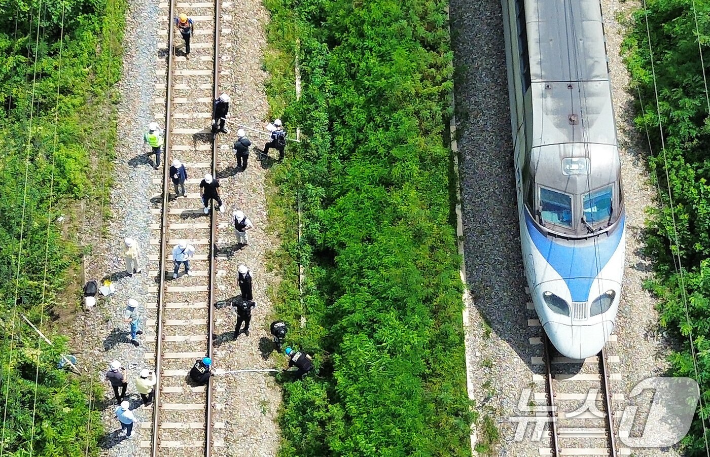 본문 이미지 - 20일 오후 경북경찰청, 국립과학수사연구원, 항공철도사고조사위원회, 노동 당국 등 합동감식에 참여한 기관 관계자들이 경북 청도군 화양읍 삼신리 경부선 무궁화호 열차 사고 현장에서 합동감식을 진행하고 있다. 2025.8.20/뉴스1 ⓒ News1 공정식 기자