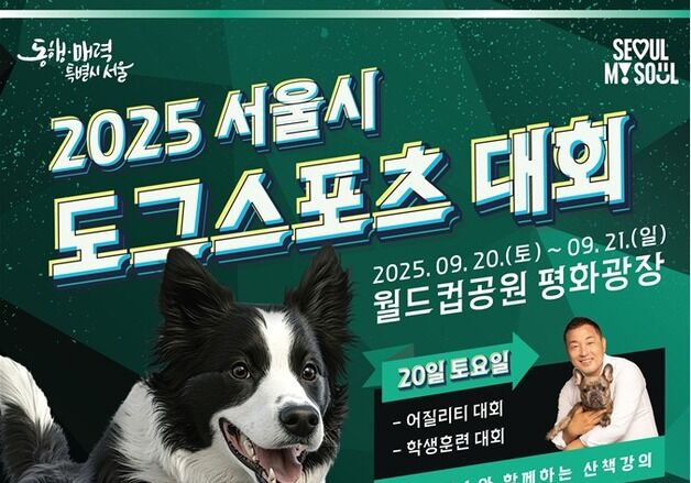 서울시 최초 '멍멍이 올림픽'…제1회 도그스포츠 대회 열린다