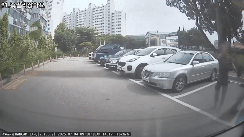 본문 이미지 - ('도참시 블랙박스' 갈무리)