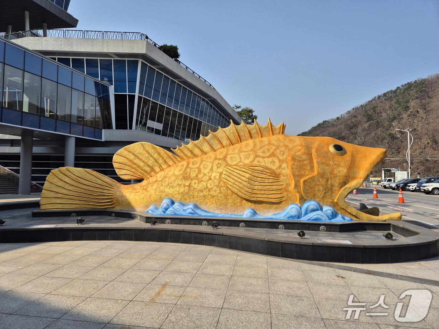 본문 이미지 - 단양 다누리아쿠아리움 황금 쏘가리 조형물.(단양군 제공. 재판매 및 DB금지)./뉴스1  