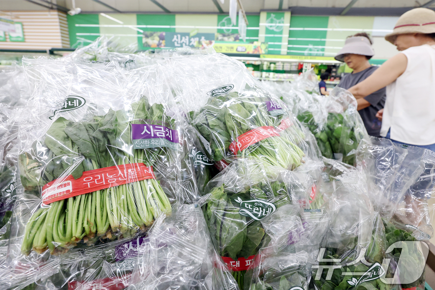 (서울=뉴스1) 민경석 기자 = 폭우·폭염의 영향으로 농림수산품이 6% 가까이 급등하면서 7월 생산자물가가 1년 11개월 만에 가장 높은 상승률을 갈아치웠다.주로 농산물 가격이 상 …