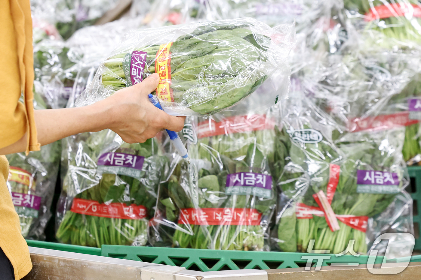 (서울=뉴스1) 민경석 기자 = 폭우·폭염의 영향으로 농림수산품이 6% 가까이 급등하면서 7월 생산자물가가 1년 11개월 만에 가장 높은 상승률을 갈아치웠다.주로 농산물 가격이 상 …