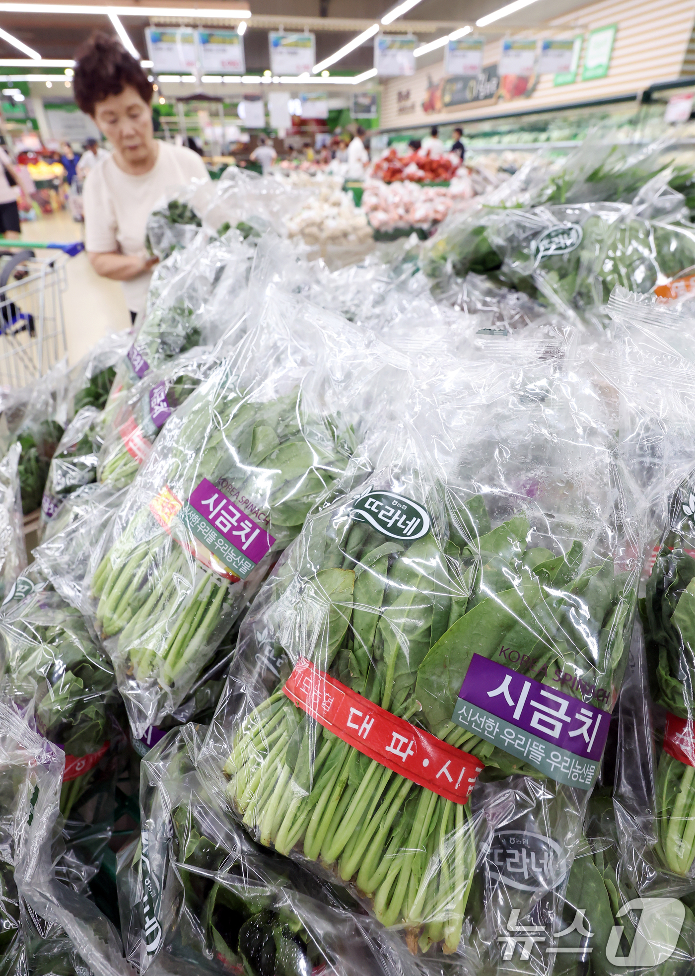 (서울=뉴스1) 민경석 기자 = 폭우·폭염의 영향으로 농림수산품이 6% 가까이 급등하면서 7월 생산자물가가 1년 11개월 만에 가장 높은 상승률을 갈아치웠다.주로 농산물 가격이 상 …