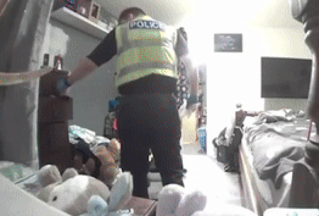 본문 이미지 - (데일리메일 갈무리)