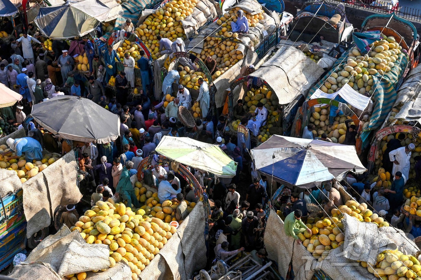 (라호르 AFP=뉴스1) 권영미 기자 = 21일 파키스탄 라호르의 과일 시장에 상인들과 구매자들이 모여 있다.2025.08.21.ⓒ AFP=뉴스1