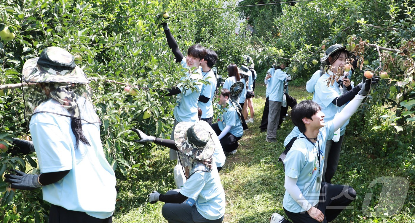 (서울=뉴스1) = 농협상호금융이 지난 20일 NH콕서포터즈 대학생들과 함께 경기도 포천시 소재 농가를 방문하여 일손돕기를 실시했다고 21일 밝혔다. (농협 제공. 재판매 및 DB …