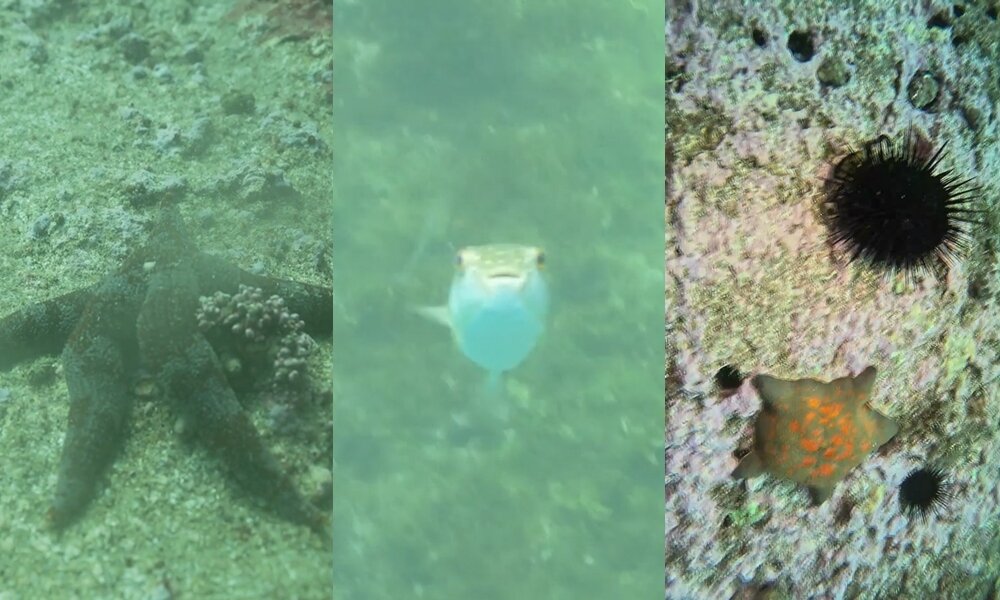 본문 이미지 - MBC