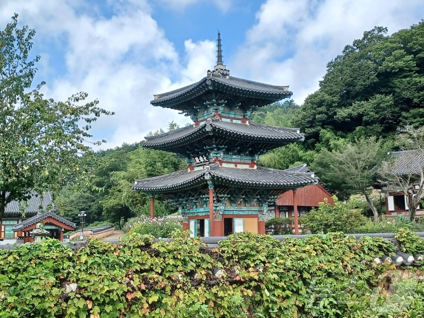 본문 이미지 - 화순 쌍봉사 대웅전./뉴스1