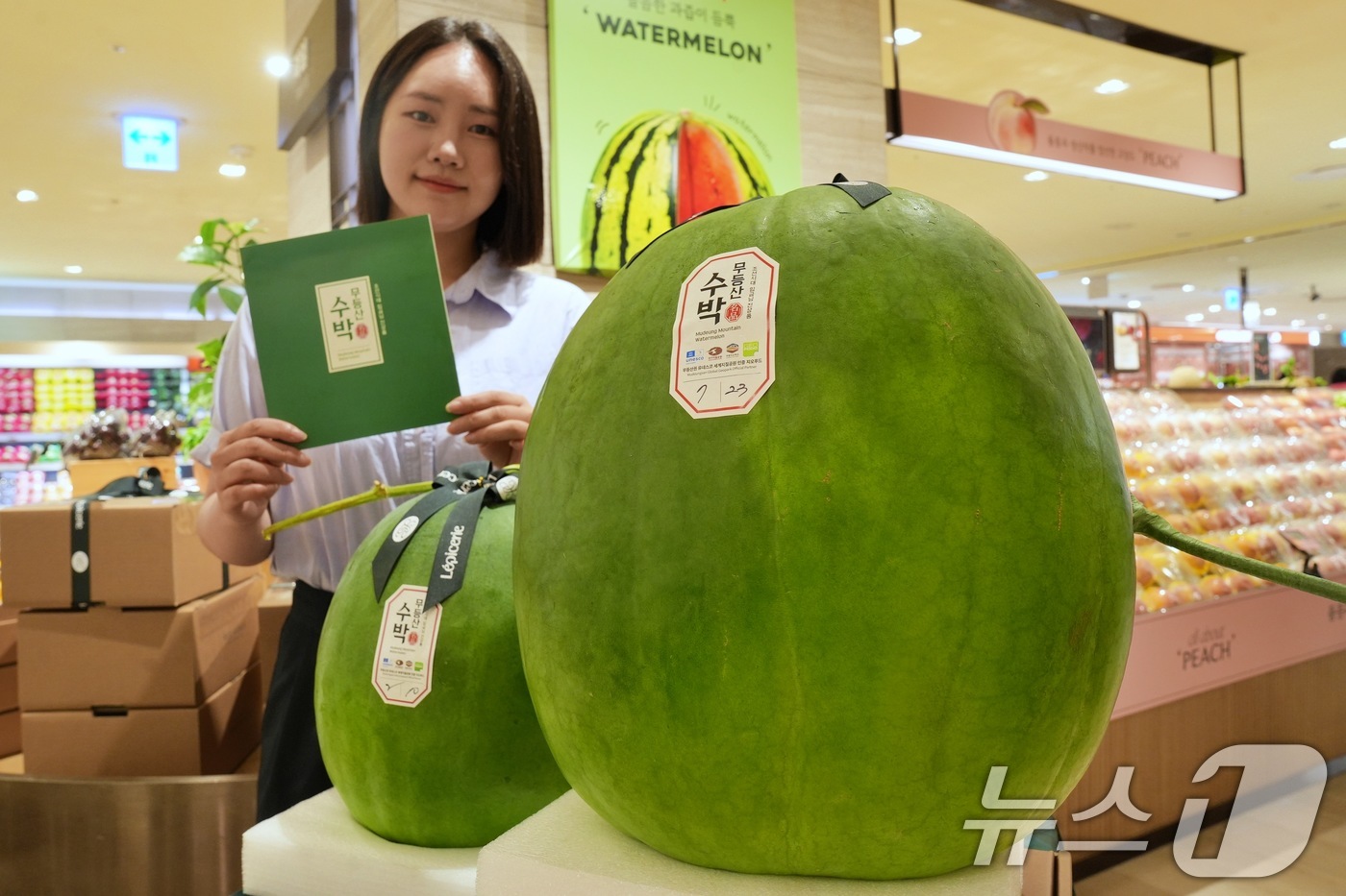 (서울=뉴스1) = 롯데백화점이 오는 10월 5일까지 수도권 17개점, 지방 10개점 도합 총 27개 점포에서 광주 무등산 수박을 판매한다고 22일 밝혔다.서울 중구 롯데백화점 본 …