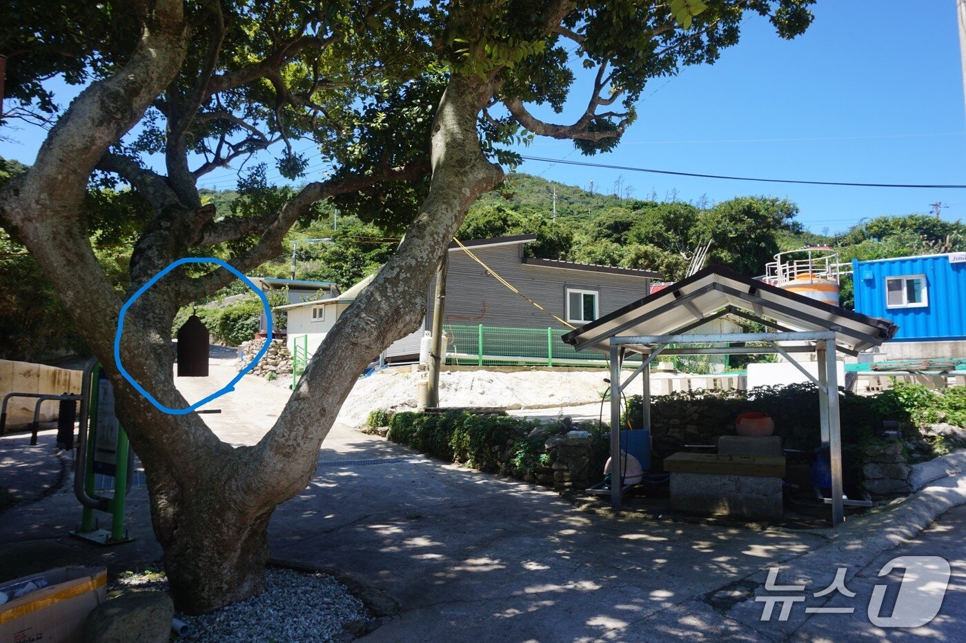 본문 이미지 - 독거마을 당산 팽나무에 걸린 녹슨 종과 우물. 2025.8.22/뉴스1 ⓒ News1 조영석 기자 