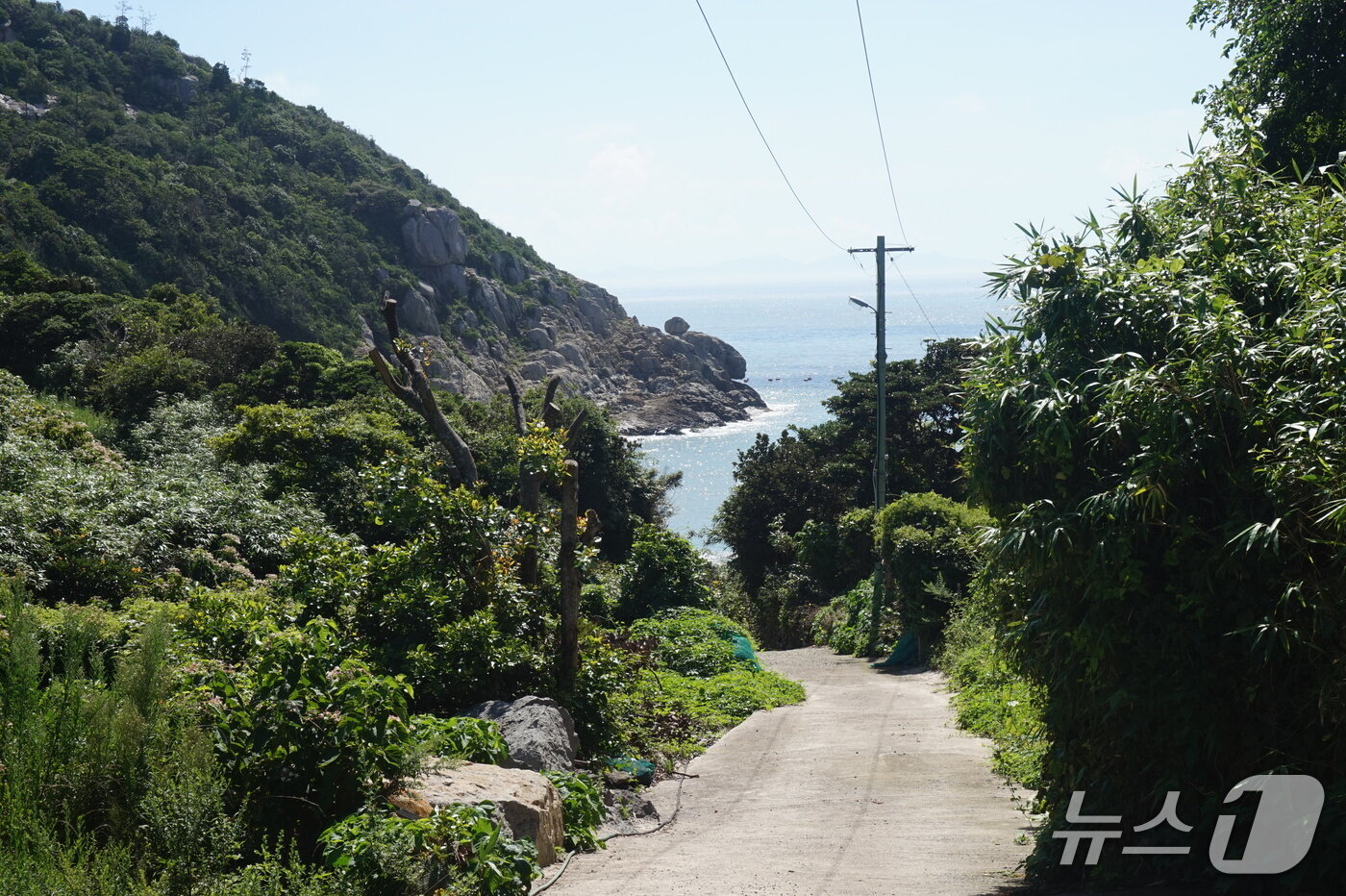 본문 이미지 - 섬의 남동쪽 &#39;집앞에&#39; 해안가로 가는 마을 길. 2025.8.22/뉴스1 ⓒ News1 조영석 기자 
