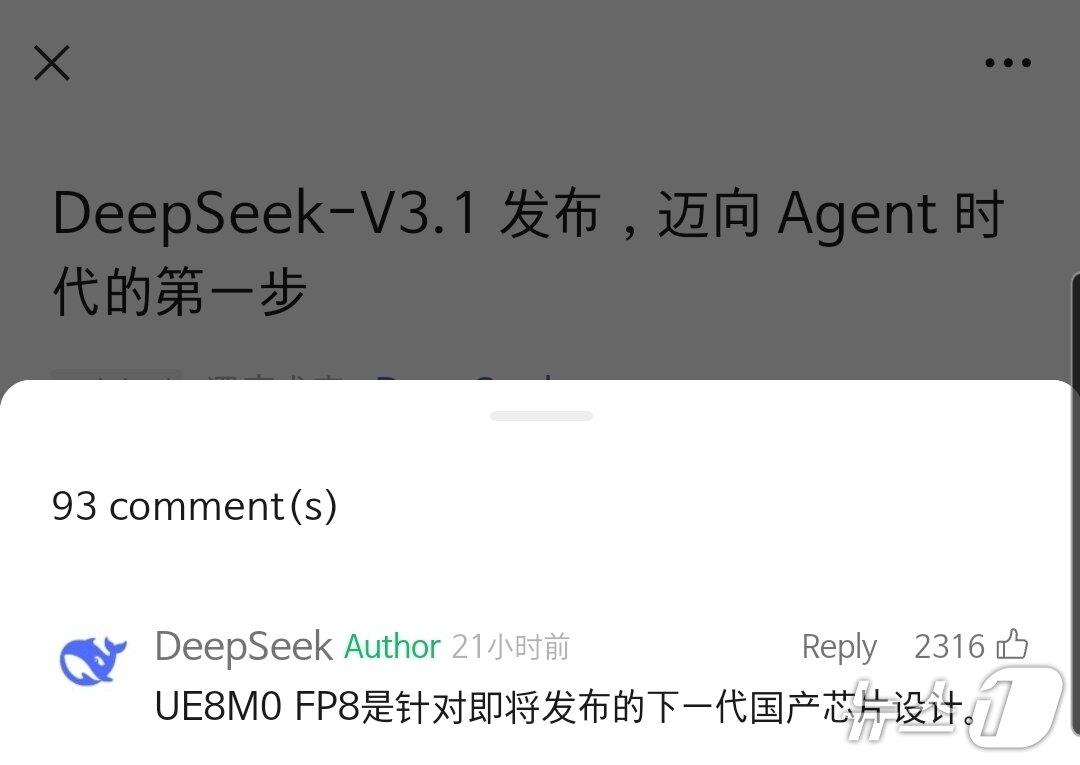 본문 이미지 - (딥시크 SNS 계정)