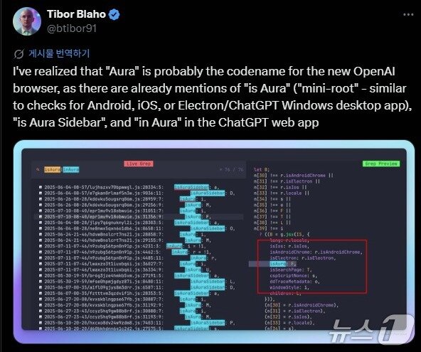 본문 이미지 - 티보 블라호 엔지니어가 발견한 오픈AI 내부 코드 분석&#40;엑스 갈무리&#41;