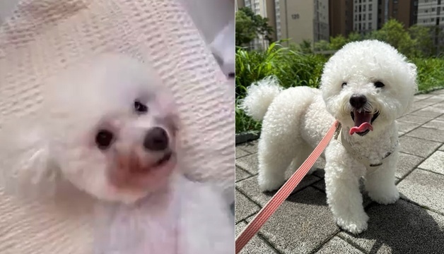 많이 본 뉴스