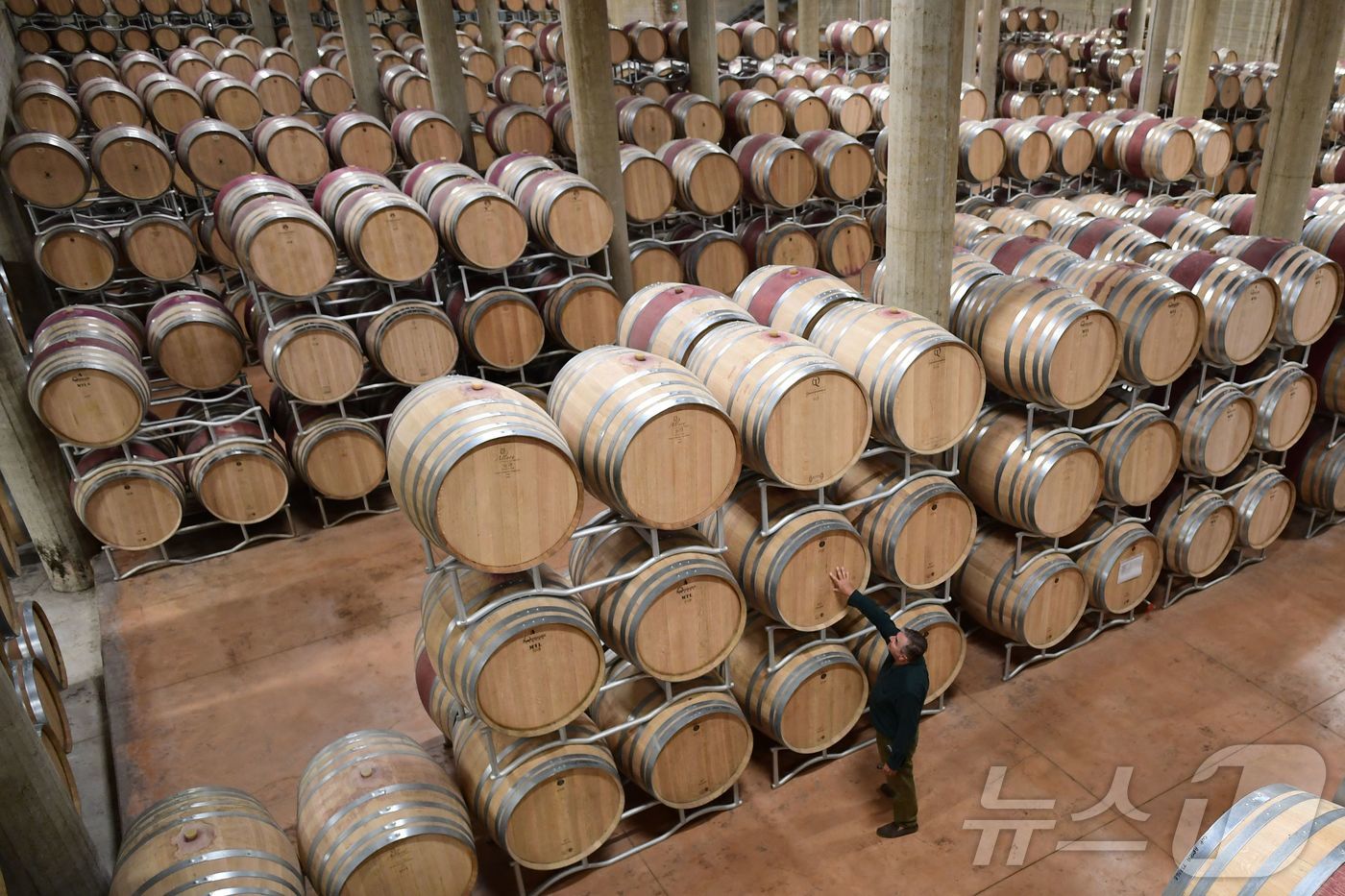 (가이올레 인 키안티 AFP=뉴스1) 권영미 기자 = 이탈리아 토스카나 키안티 지역 가이올레 인 키안티의 브롤리오 성 인근에 위치한 리카솔리 와이너리 지하 저장고. 리카솔리 와이너 …