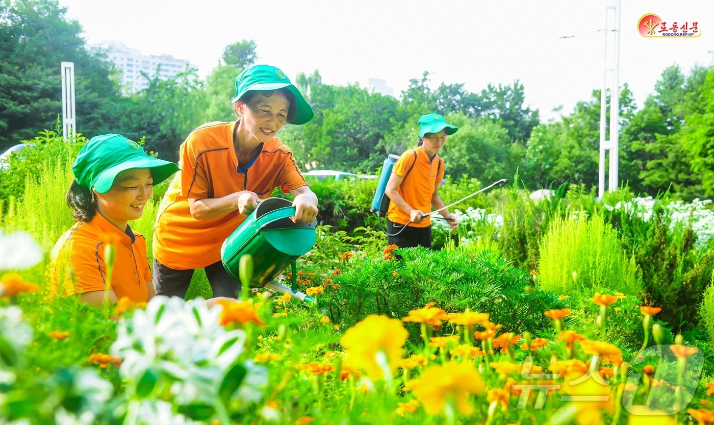 (평양 노동신문=뉴스1) = 북한 노동당 기관지 노동신문은 23일 "수도의 거리를 아름답게 장식하기 위해 노력하고 있다"며 만경대구역원림사업소를 조명했다. [국내에서만 사용가능. …