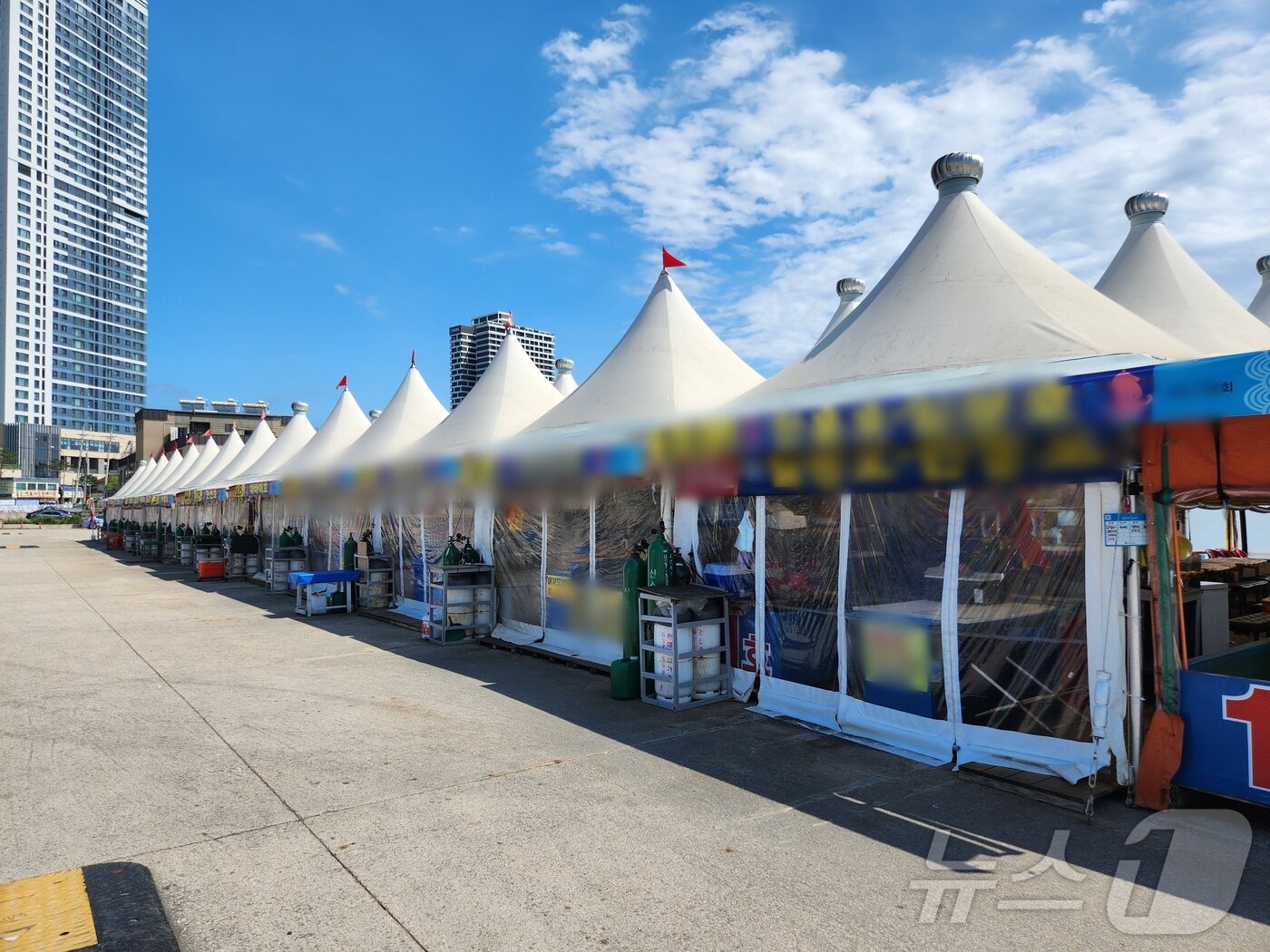 본문 이미지 - 주말인 23일 강원 동해안 대표 포장마차촌인 오징어난전 일대가 휑한 모습을 보이고 있다. 이곳은 최근 유튜브 영상을 통해 불친절 논란이 일어, 반성의 의미 지난 17일부터 운영을 자체 중단한 상태다. 2025.8.23/뉴스1 ⓒ News1 이종재 기자