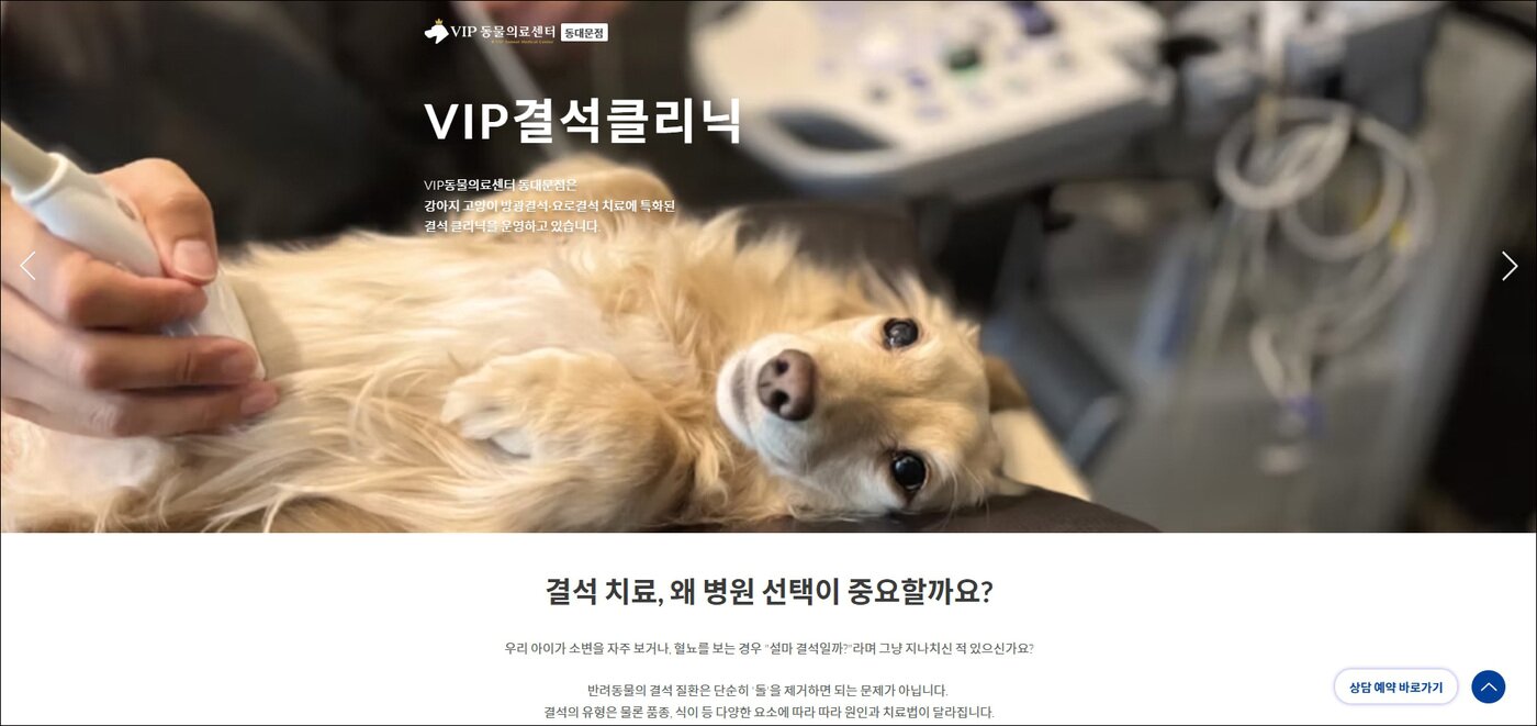 본문 이미지 - VIP동물의료센터 동대문점은 VIP결석클리닉 전용 홈페이지도 오픈했다&#40;동물병원 제공&#41;. ⓒ 뉴스1