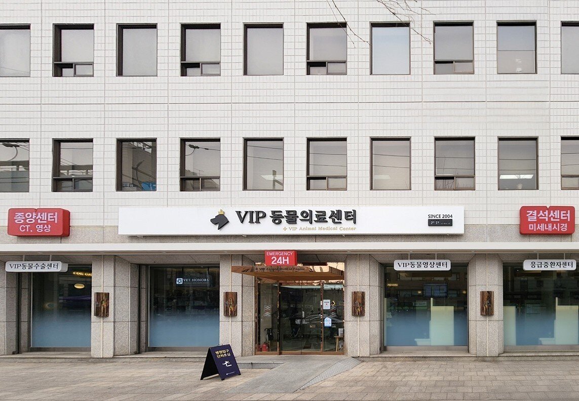 본문 이미지 - VIP동물의료센터 동대문점 외관&#40;동물병원 제공&#41; ⓒ 뉴스1
