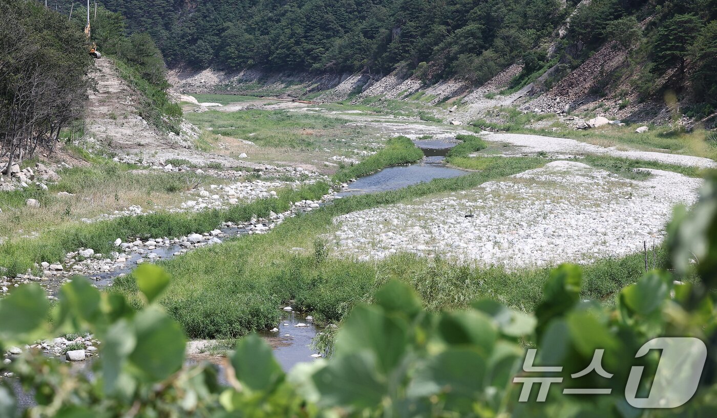 본문 이미지 - 24일 강원 강릉시 주요 상수원인 오봉저수지와 일대 하천의 바닥이 드러나 있다. 2025.8.24/뉴스1 ⓒ News1 김성진 기자
