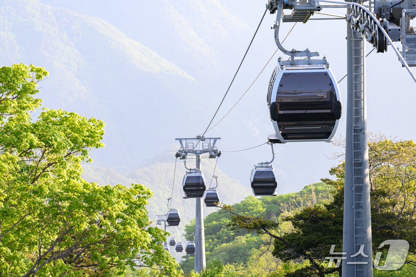 본문 이미지 - 강원 정선군 가리왕산 케이블카 자료 사진. &#40;재판매 및 DB금지&#41;/뉴스1