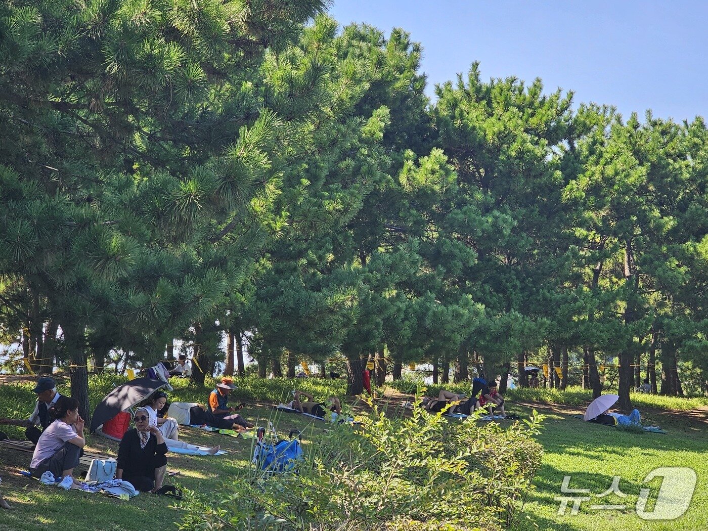 본문 이미지 - 24일 오후 부산 다대포 해수욕장 해변공원을 찾은 시민들이 휴식을 취하고 있다. 2025.8.24 ⓒ 뉴스1 박민석 기자