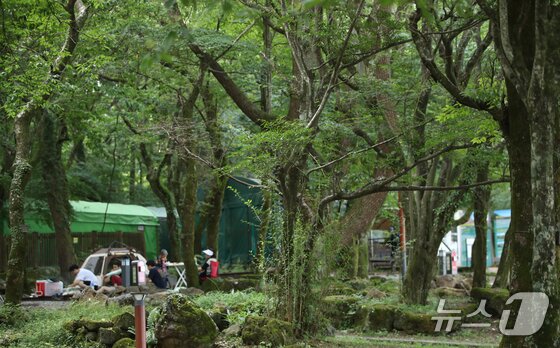 본문 이미지 - 한라산을 제외한 전국에 폭염특보가 내려진 24일 오후 제주 한라산국립공원 관음사 야영장에서 도민과 관광객들이 여유를 즐기고 있다. 2025.8.24/뉴스1 ⓒ News1 오현지 기자