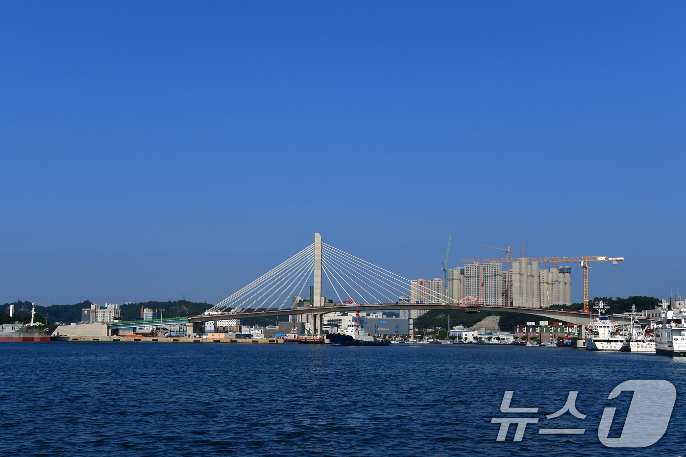 (포항=뉴스1) 최창호 기자 = 25일 포스코 이앤씨가 시공 중인 경북 포항시 해오름대교 공사가 안전점검을 마친 후 재개됐다.고용노동부는 지난달 28일 경남 의령 고속도로 건설 현 …