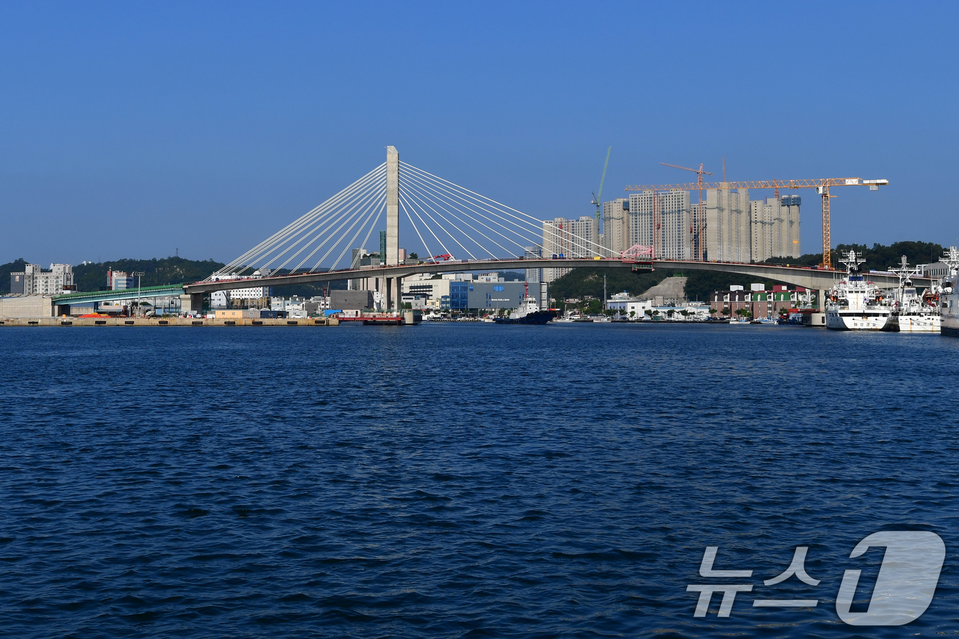 (포항=뉴스1) 최창호 기자 = 25일 포스코 이앤씨가 시공 중인 경북 포항시 해오름대교 공사가 안전점검을 마친 후 재개됐다.고용노동부는 지난달 28일 경남 의령 고속도로 건설 현 …