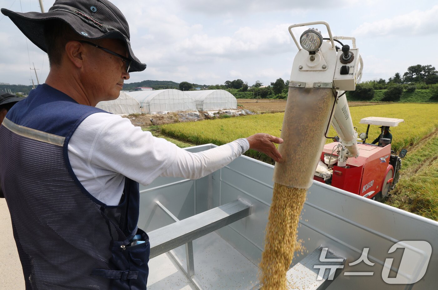 본문 이미지 - 25일 오전 경기 화성시 정남면의 한 논에서 열린 '2025년 첫 조생종 벼 수확' 행사에서 관계자들이 콤바인을 이용해 벼를 수확하고 있다. 2025.8.25/뉴스1 ⓒ News1 김영운 기자