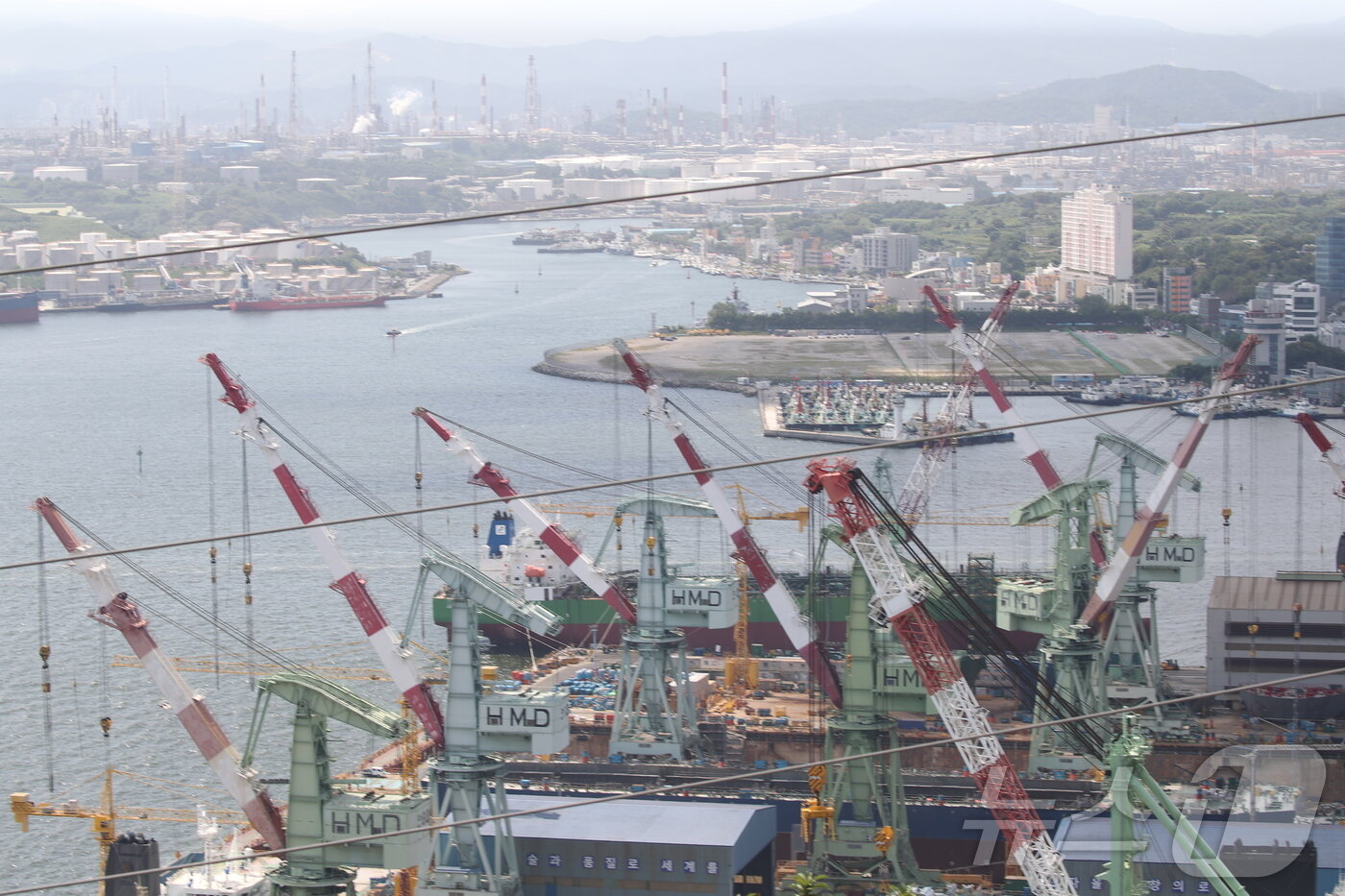 본문 이미지 - 울산 동구에 위치한 HD현대미포 수출 도크.2025.8.25/뉴스1 ⓒ News1 김지혜 기자