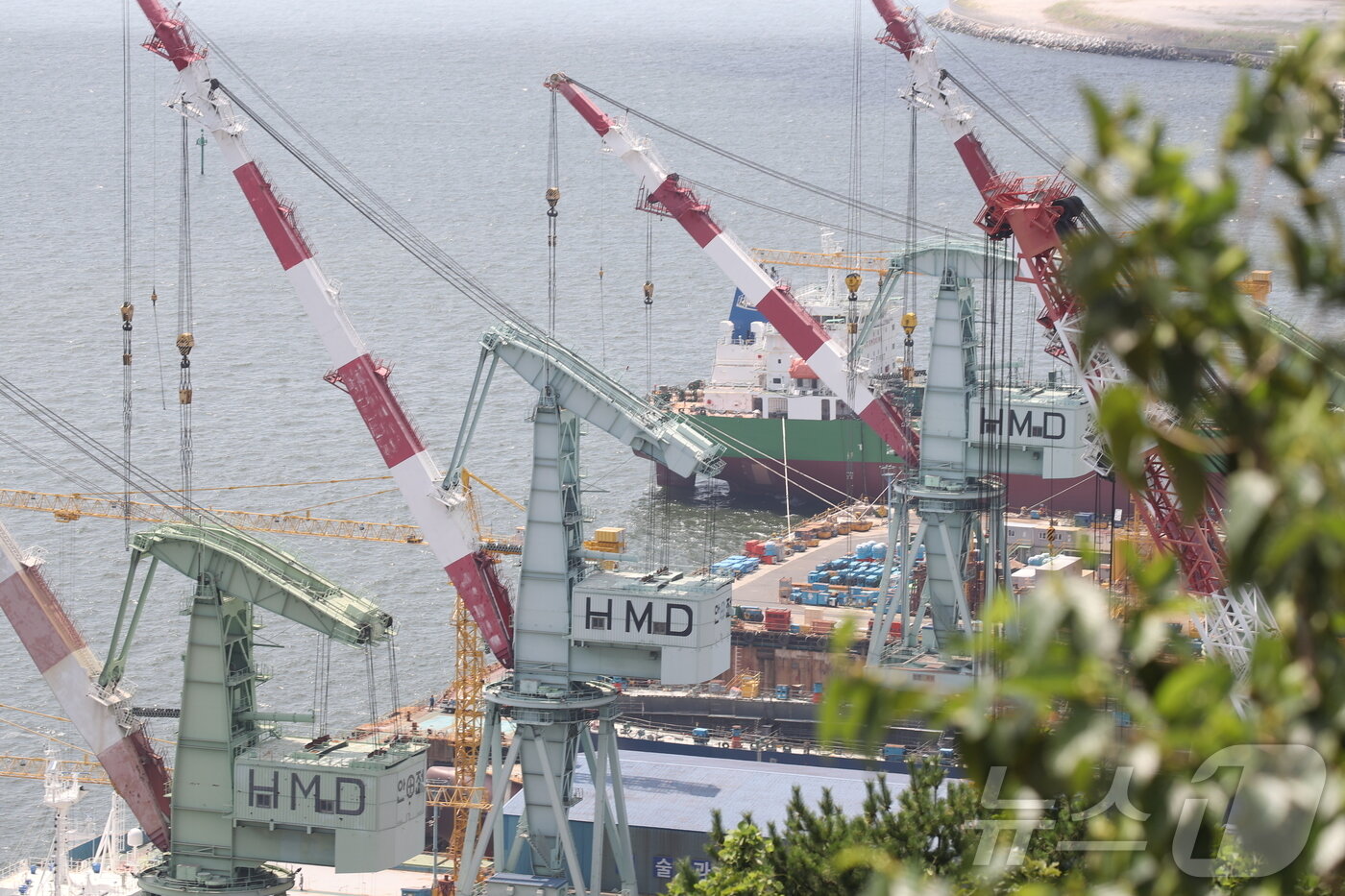 본문 이미지 - 울산 동구에 위치한 HD현대미포 수출 도크 모습. 2025.8.25/뉴스1 ⓒ News1 김지혜 기자