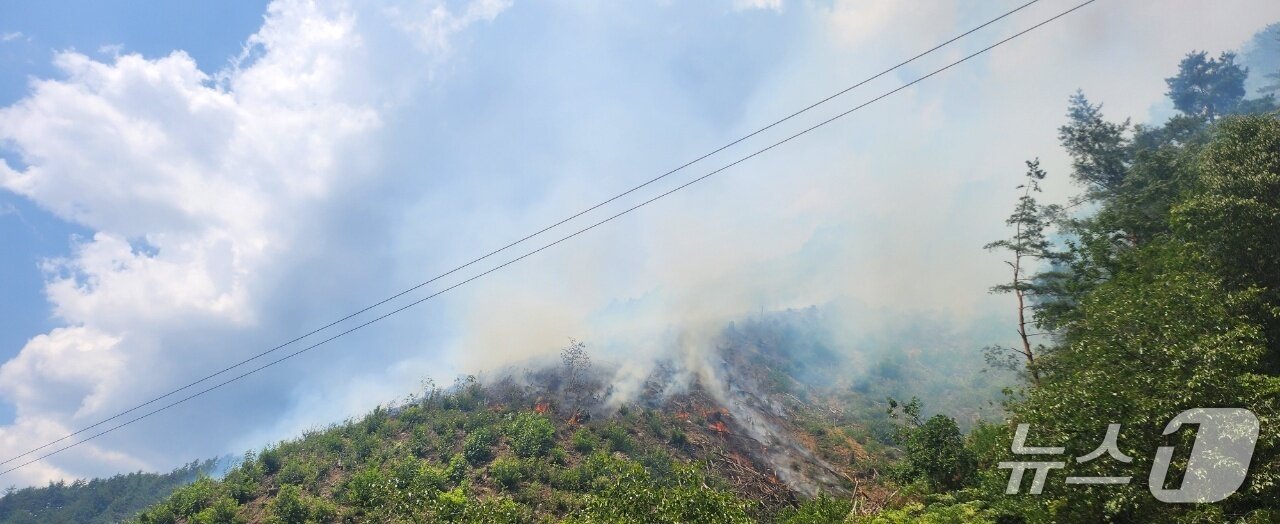 본문 이미지 - 삼척 가곡면 산불 현장.(산림청 제공, 재판매 및 DB 금지) 2025.8.25/뉴스1