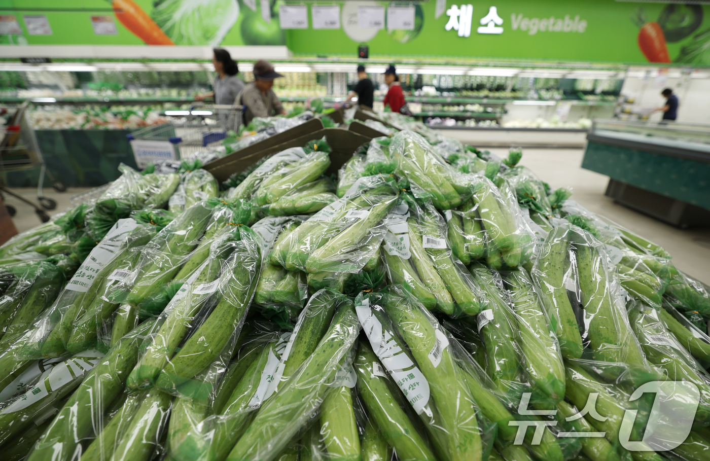 (서울=뉴스1) 권현진 기자 = 계절이 가을로 접어들었지만 늦더위가 이어지면서 일부 농산물 가격이 오름세를 보이고 있다. 시금치, 오이, 건고추 등의 도매가격이 상승한 가운데 25 …