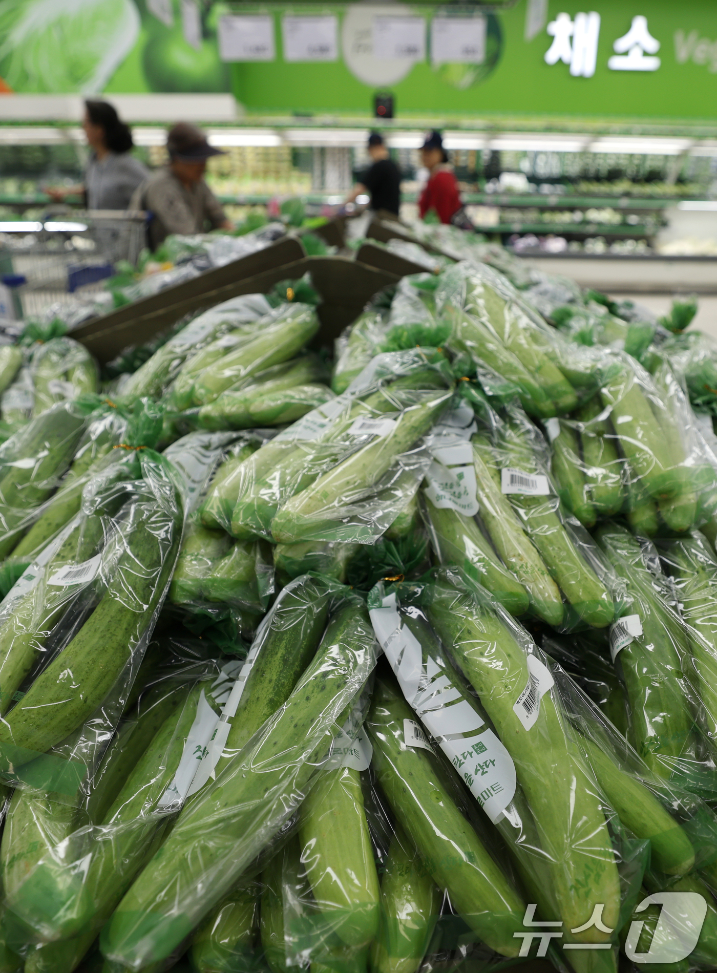 (서울=뉴스1) 권현진 기자 = 계절이 가을로 접어들었지만 늦더위가 이어지면서 일부 농산물 가격이 오름세를 보이고 있다. 시금치, 오이, 건고추 등의 도매가격이 상승한 가운데 25 …