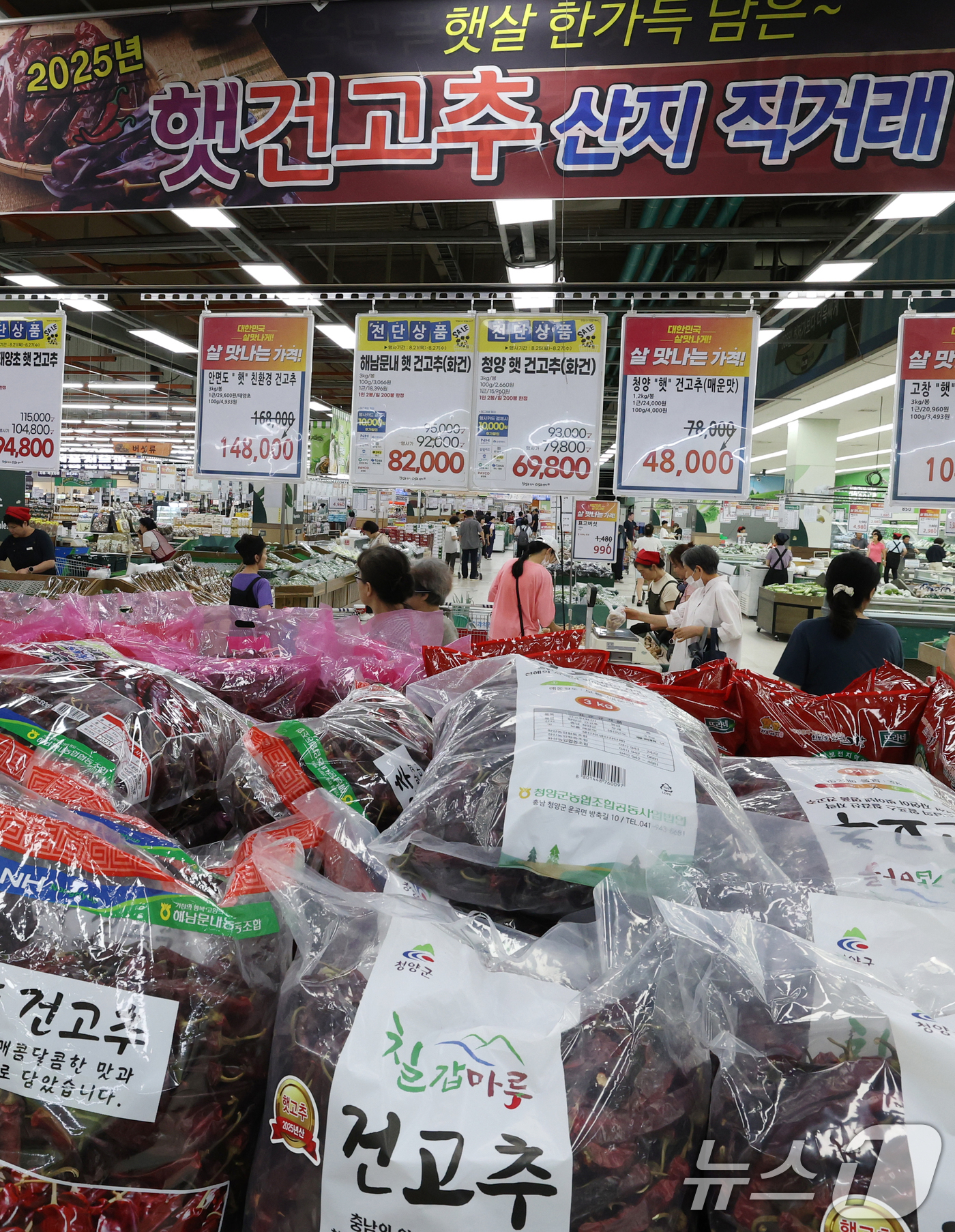 (서울=뉴스1) 권현진 기자 = 계절이 가을로 접어들었지만 늦더위가 이어지면서 일부 농산물 가격이 오름세를 보이고 있다. 시금치, 오이, 건고추 등의 도매가격이 상승한 가운데 25 …