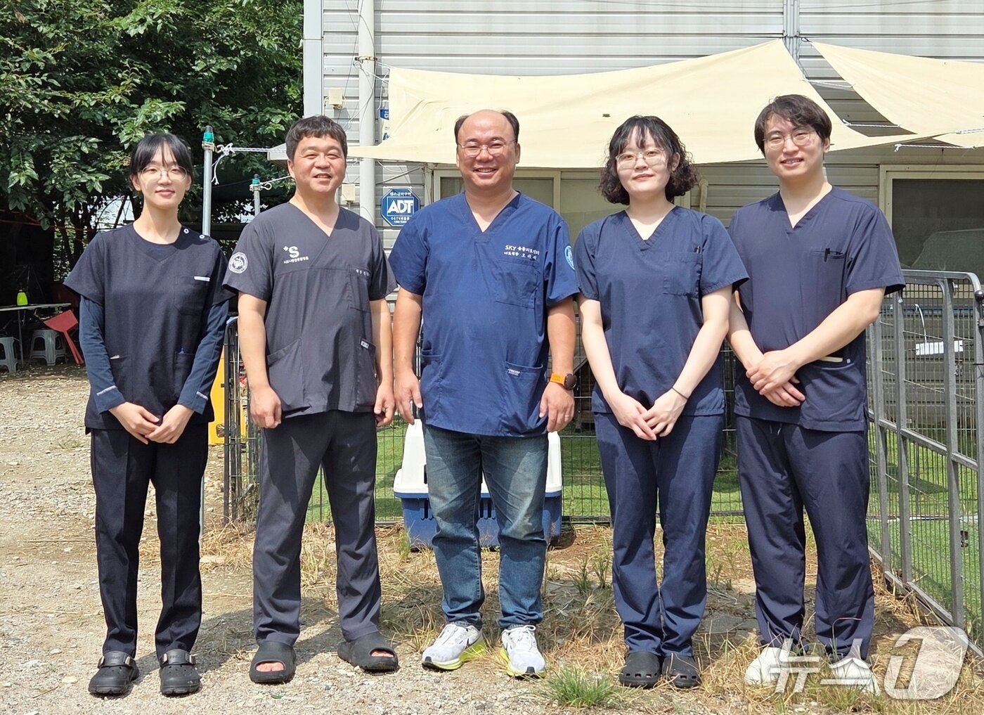 본문 이미지 - 인천스카이동물메디컬센터와 주안동물메디컬센터는 25일 인천 동물보호소에서 의료봉사를 진행했다. ⓒ 뉴스1 최서윤 기자