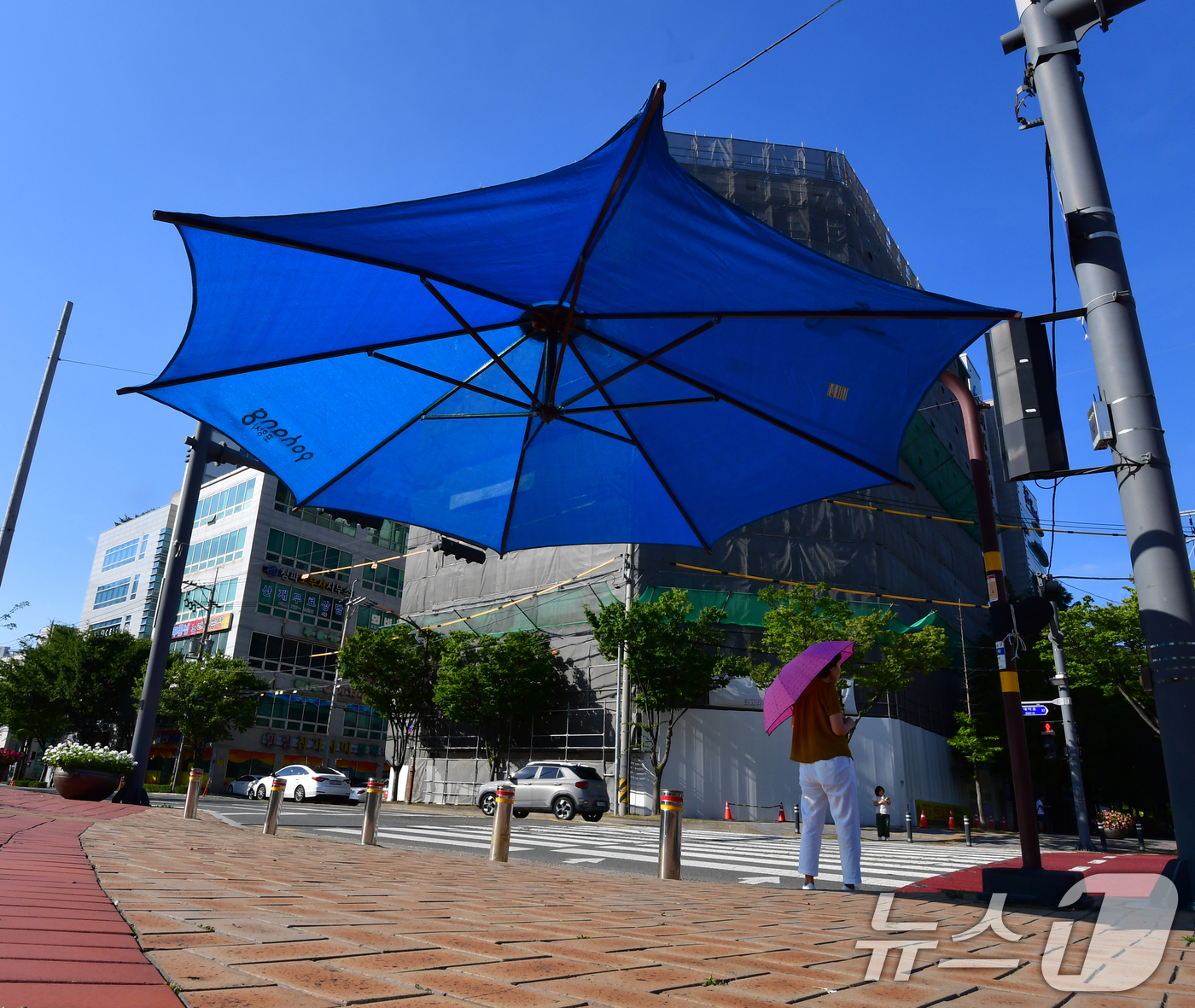 (포항=뉴스1) 최창호 기자 = 26일 경북 포항시 전역에 폭염특보가 발효 중인 가운데 출근길에 나선 시민이 포항시청 앞 횡단보도에 설치된 대형 우산 그늘막 밑에서  신호를 기다리 …