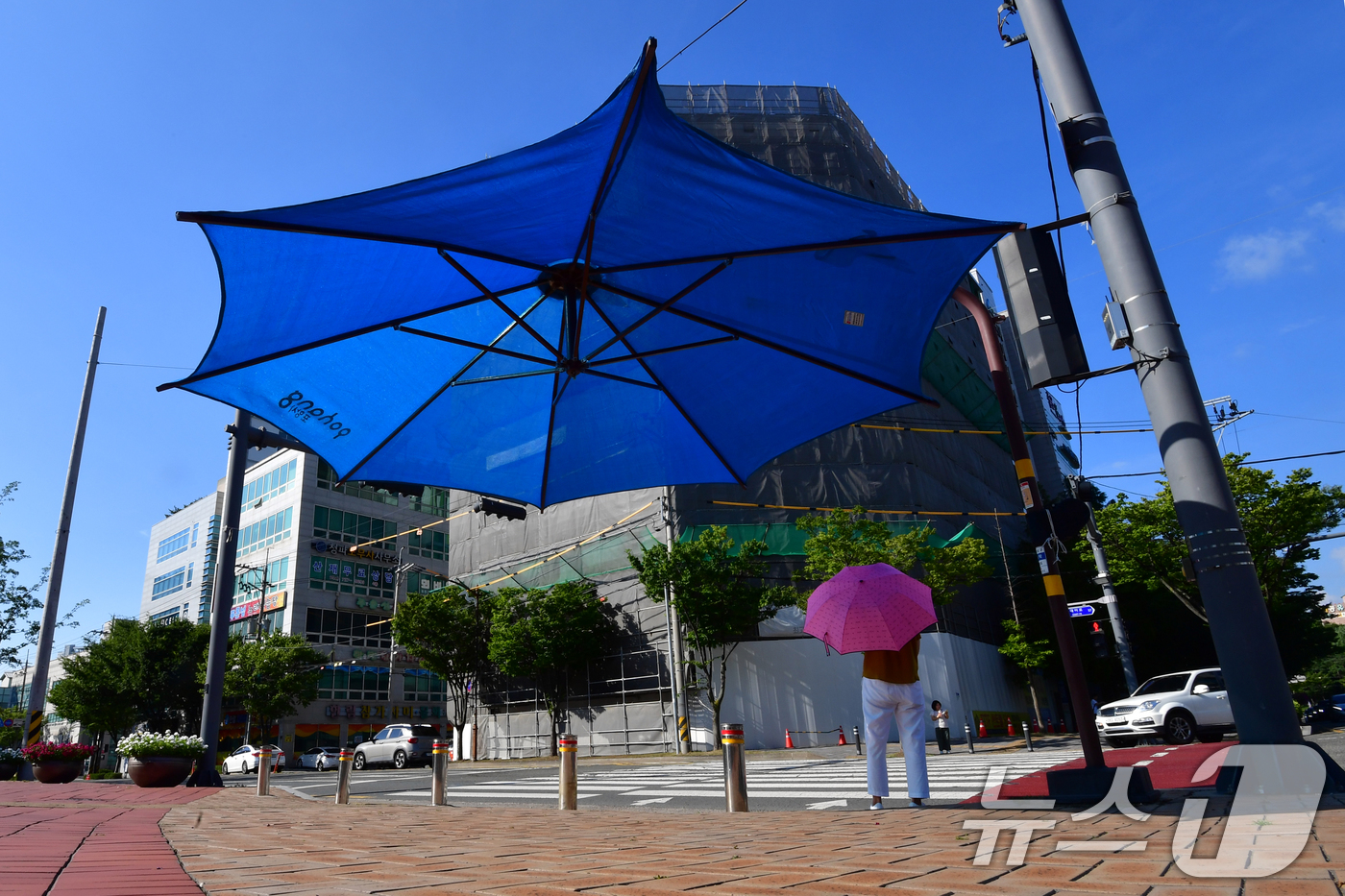 (포항=뉴스1) 최창호 기자 = 26일 경북 포항시 전역에 폭염특보가 발효 중인 가운데 출근길에 나선 시민이 포항시청 앞 횡단보도에 설치된 대형 우산 그늘막 밑에서  신호를 기다리 …