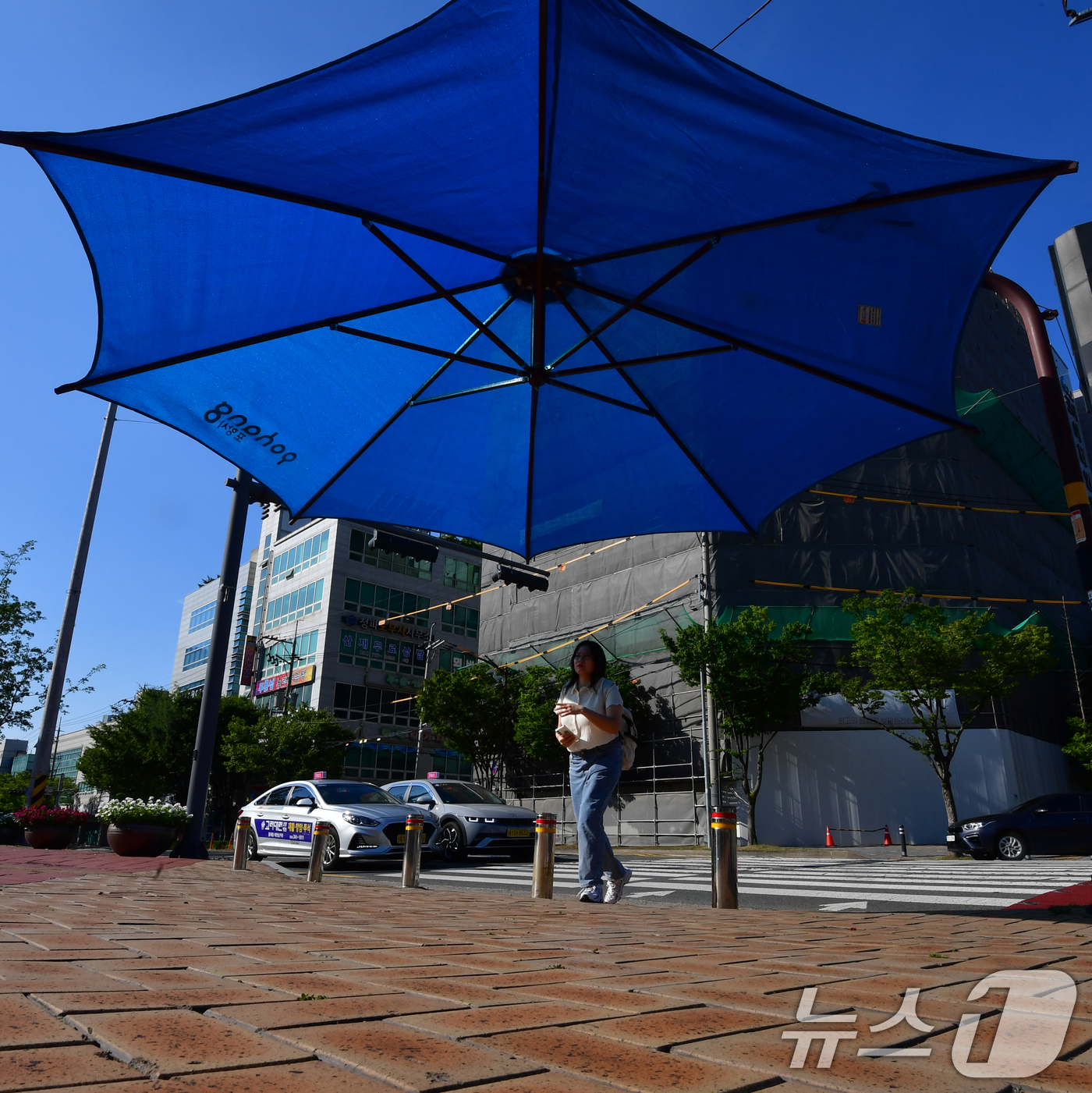 (포항=뉴스1) 최창호 기자 = 26일 경북 포항시 전역에 폭염특보가 발효 중인 가운데 출근길에 나선 시민이 포항시청 앞 횡단보도에 설치된 대형 우산 그늘막 아래로 걸어가고 있다. …
