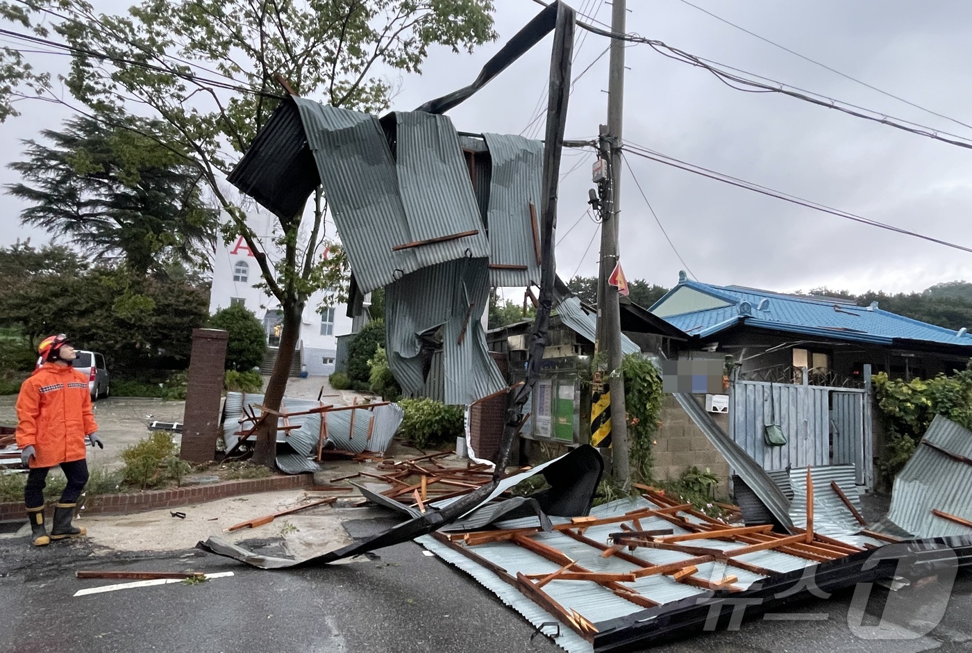(전주=뉴스1) 강교현 기자 = 26일 전주시 덕진구 만성동 도로에서 강풍에 날린 지붕이 케이블 선 위에 걸려 있다.(전북소방본부 제공. 재판매 및 DB금지)2025.8.26/뉴스 …