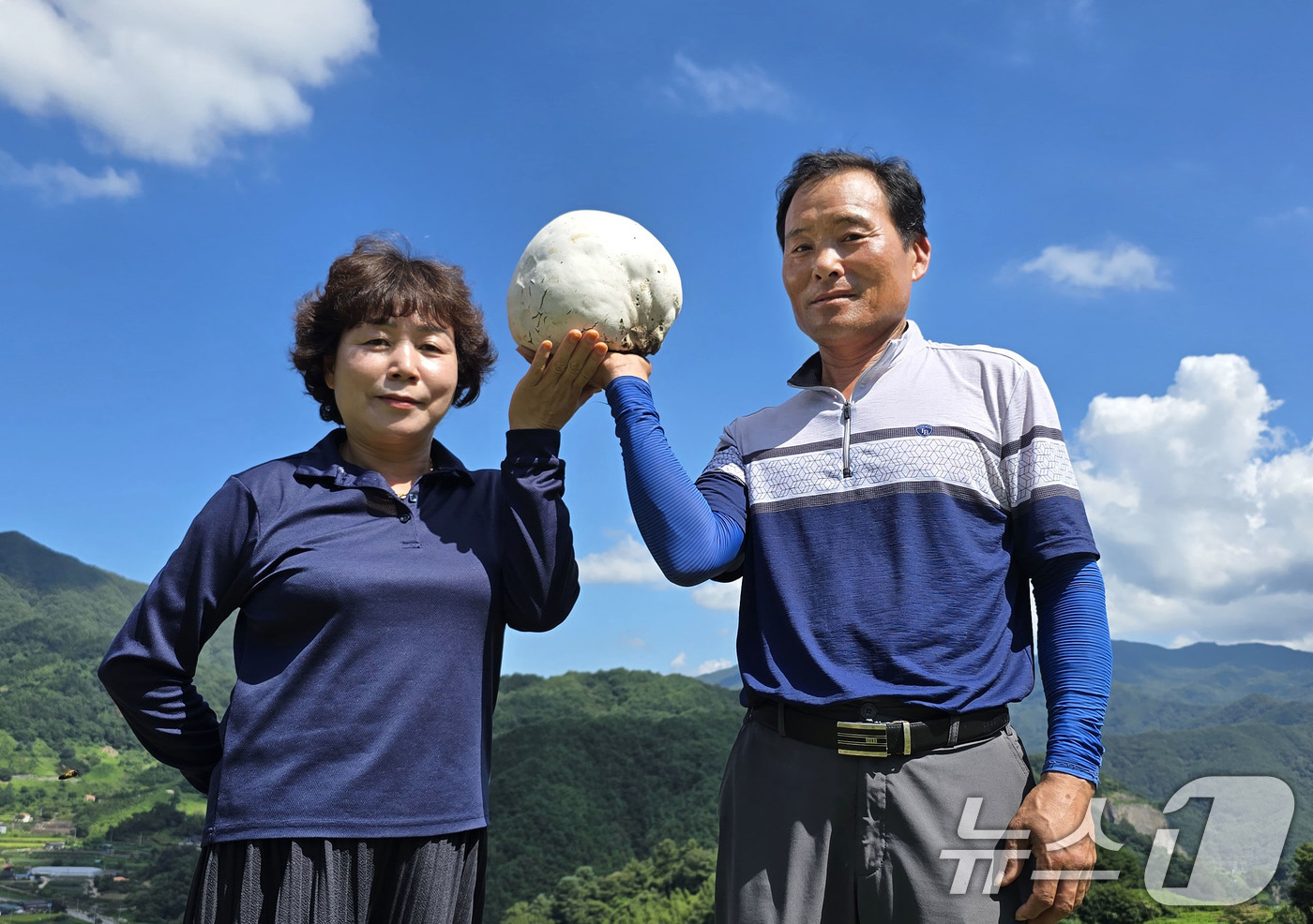(서울=뉴스1) = 26일 경남 함양군 마천면 창원마을 뒷산에서 세계적 희귀종으로 알려진 댕구알버섯이 발견되어 장철안씨가 들어 보이고 있다.이번에 발견된 댕구알버섯은 지름이 약 2 …