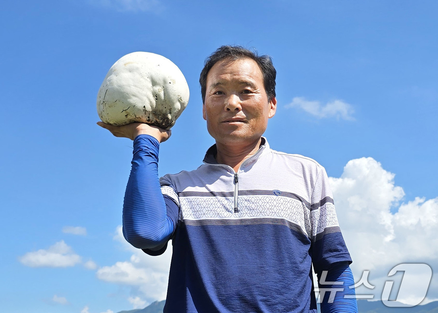 (서울=뉴스1) = 26일 경남 함양군 마천면 창원마을 뒷산에서 세계적 희귀종으로 알려진 댕구알버섯이 발견되어 장철안씨가 들어 보이고 있다.이번에 발견된 댕구알버섯은 지름이 약 2 …
