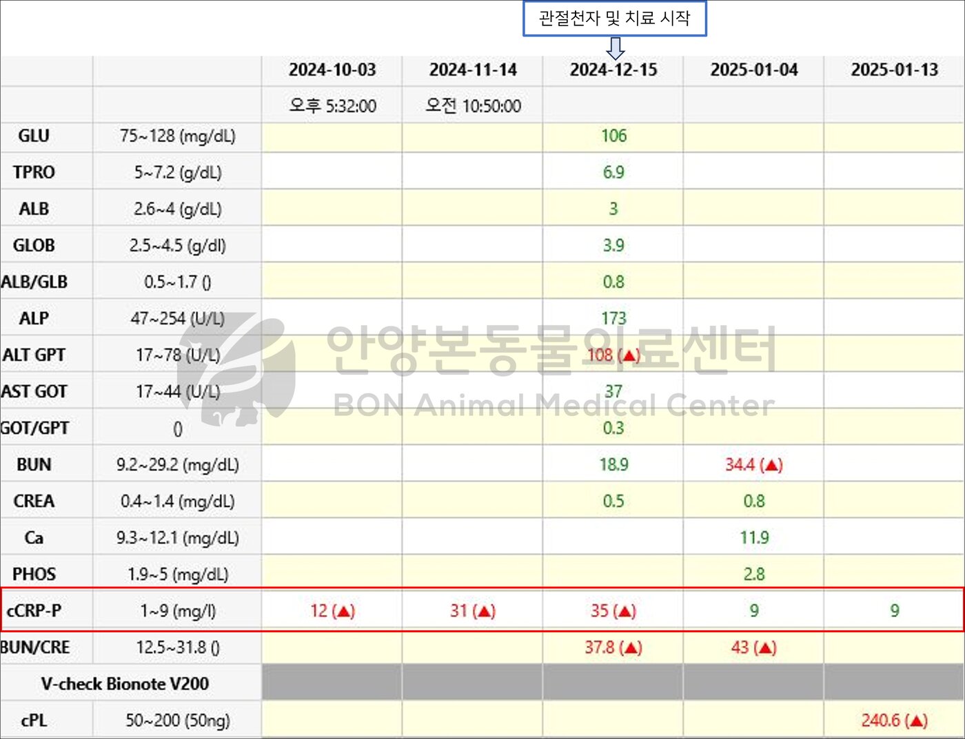 본문 이미지 - 보니 혈액 검사 자료(본동물의료센터 제공) ⓒ 뉴스1