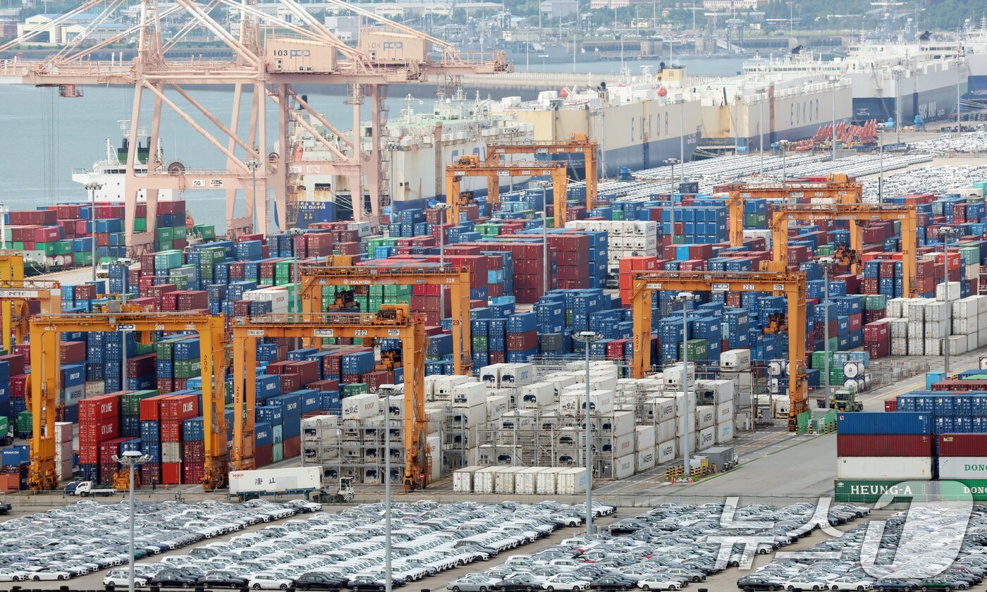 본문 이미지 - 경기 평택시 포승읍 평택항에 수출용 컨테이너들이 쌓여있는 모습. 2025.8.26/뉴스1 ⓒ News1 김영운 기자