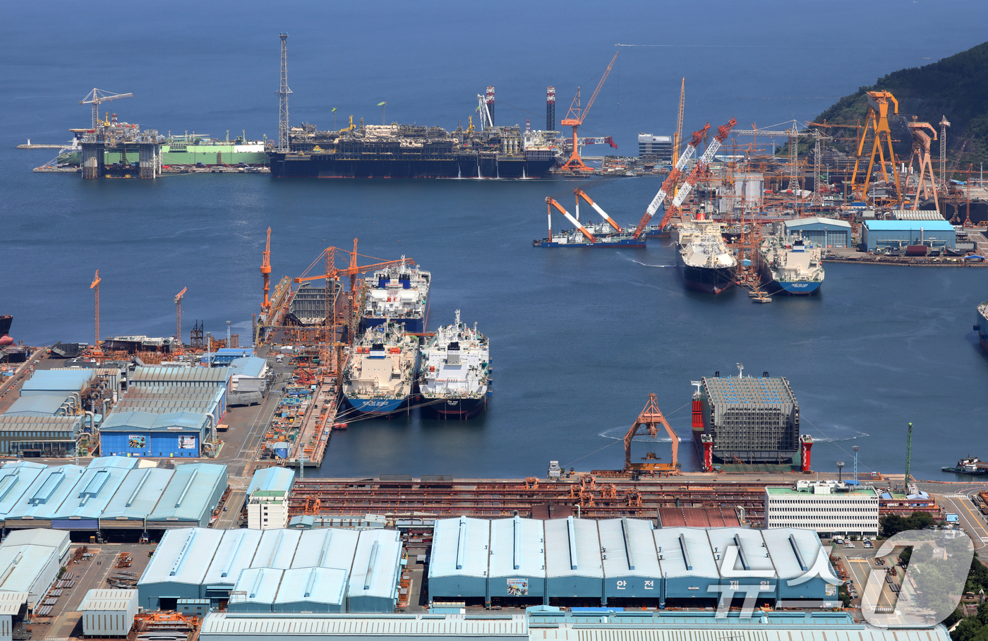 (거제=뉴스1) 윤일지 기자 = 한미 정상회담을 계기로 1500억 달러(약 208조 원) 규모의 '마스가(MASGA·미국 조선업을 다시 위대하게)' 프로젝트가 본격 시작된 가운데 …