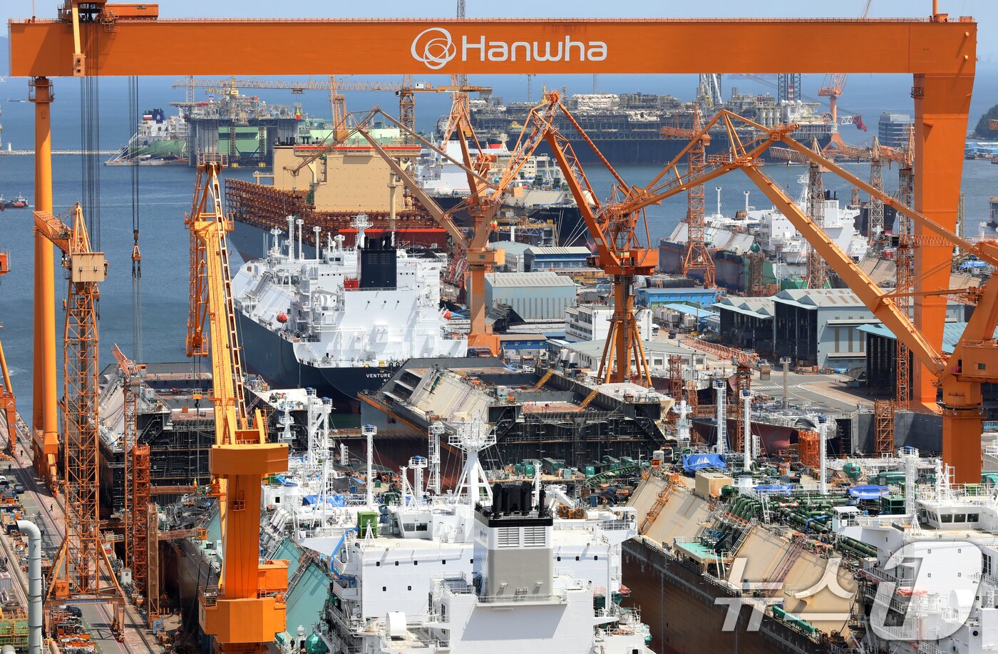 본문 이미지 - 한미 정상회담을 계기로 1500억 달러&#40;약 208조 원&#41; 규모의 &#39;마스가&#40;MASGA·미국 조선업을 다시 위대하게&#41;&#39; 프로젝트가 본격 시작된 가운데 26일 경남 거제시 한화오션 거제사업장에 대형 크레인과 건조 중인 선박이 보이고 있다.  2025.8.26/뉴스1 ⓒ News1 윤일지 기자